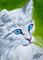 Art: Snowball  (SOLD) by Artist Monique Morin Matson