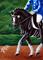 Art: Dressage Black (SOLD) by Artist Monique Morin Matson