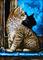 Art: Reflecting  (SOLD) by Artist Monique Morin Matson