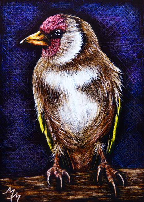 Art: Finch - SA95  (SOLD) by Artist Monique Morin Matson