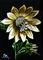 Art: Symbiotic  (SOLD) by Artist Monique Morin Matson