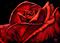 Art: Red Rose  (SOLD) by Artist Monique Morin Matson