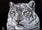 Art: Snow Leopard  (SOLD) by Artist Monique Morin Matson