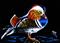 Art: Mandarin Duck  (SOLD) by Artist Monique Morin Matson