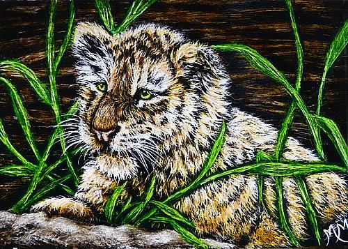 Art: Baby Tiger  (SOLD) by Artist Monique Morin Matson