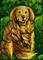Art: Golden Retriever  (SOLD) by Artist Monique Morin Matson