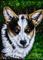 Art: Corgi - SA94  (SOLD) by Artist Monique Morin Matson