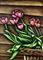 Art: Spring Tulips - SA103  (SOLD) by Artist Monique Morin Matson