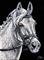 Art: The Grey Eventer - SA112  (SOLD) by Artist Monique Morin Matson