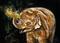 Art: Getting Ready for Bed  (SOLD) by Artist Monique Morin Matson