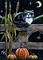 Art: A Cat's Autumn Evening  (SOLD) by Artist Monique Morin Matson
