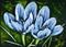 Art: Blue Crocus  (SOLD) by Artist Monique Morin Matson