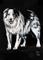 Art: Blue Merle  (SOLD) by Artist Monique Morin Matson