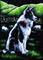 Art: Keeping Watch  (SOLD) by Artist Monique Morin Matson