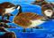 Art: Canada Geese  (SOLD) by Artist Monique Morin Matson