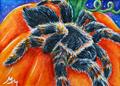 Art: Spider & Pumpkin  (SOLD) by Artist Monique Morin Matson