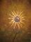 Art: Sunflower in a Field-SOLD by Artist Charlene Murray Zatloukal