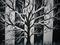 Art: Behind a Picket Fence -SOLD by Artist Patrick E Zatloukal