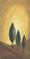 Art: Three Tuscan Trees by Artist Charlene Murray Zatloukal