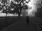 Art: Going to School on a Foggy Morning by Artist Chris Jeanguenat