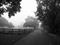 Art: Walk With You by Artist Chris Jeanguenat
