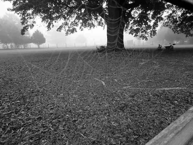 Art: Pale Spiderweb, Morning Fog by Artist Chris Jeanguenat