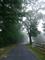 Art: Fog and Path by Artist Chris Jeanguenat