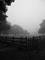 Art: Gate's Corner by Artist Chris Jeanguenat