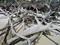 Art: Driftwood, Cedar Key Island by Artist Chris Jeanguenat