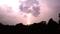 Art: The Lightning Tree by Artist Chris Jeanguenat