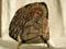Art: Angel in Glory by Artist Adrienne Bouchard Langlois