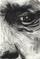 Art: Rembrandt - Self Portrait by Artist Victor McGhee