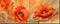 Art: Orange Poppies - Diptych by Artist Diane Millsap