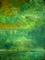 Art: SHADES OF GREEN SOLD by Artist christi lynn schwartzkopf