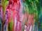 Art: HAPPY COLORSSOLD by Artist christi lynn schwartzkopf