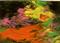 Art: AB#20    ACEO  SOLD by Artist christi lynn schwartzkopf