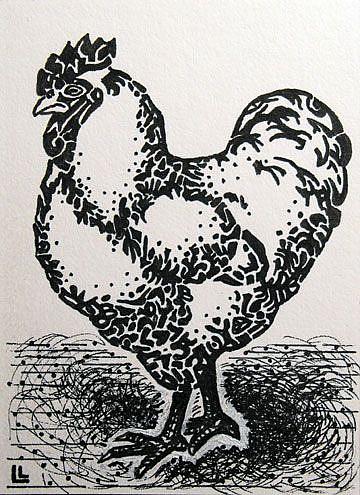 Art: Rembrandt the Rooster ACEO by Artist Lindi Levison