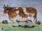 Art: Moo My Valentine ACEO by Artist Lindi Levison