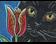 Art: Black Cat and Tulip by Artist Melinda Dalke