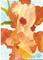 Art: Orange Iris (SOLD) by Artist Jennifer Love Artwork