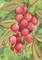 Art: Morning Dew by Artist Melanie Pruitt