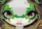 Art: Faces of Faery 30 ACEO by Artist Jasmine Ann Becket-Griffith