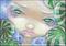 Art: Faces of Faery 85 ACEO by Artist Jasmine Ann Becket-Griffith