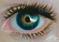 Art: Eye Study II ACEO by Artist Jasmine Ann Becket-Griffith
