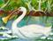 Art: Trumpeter Swan by Artist Judith A Brody