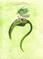 Art: Sprig by Artist Emily J White