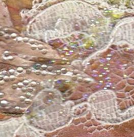 Detail Image for art Peachfuzz