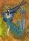 Art: Tulip Tango by Artist Emily J White