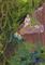 Art: Mossy Mermiad by Artist Emily J White