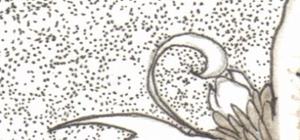Detail Image for art A Thought